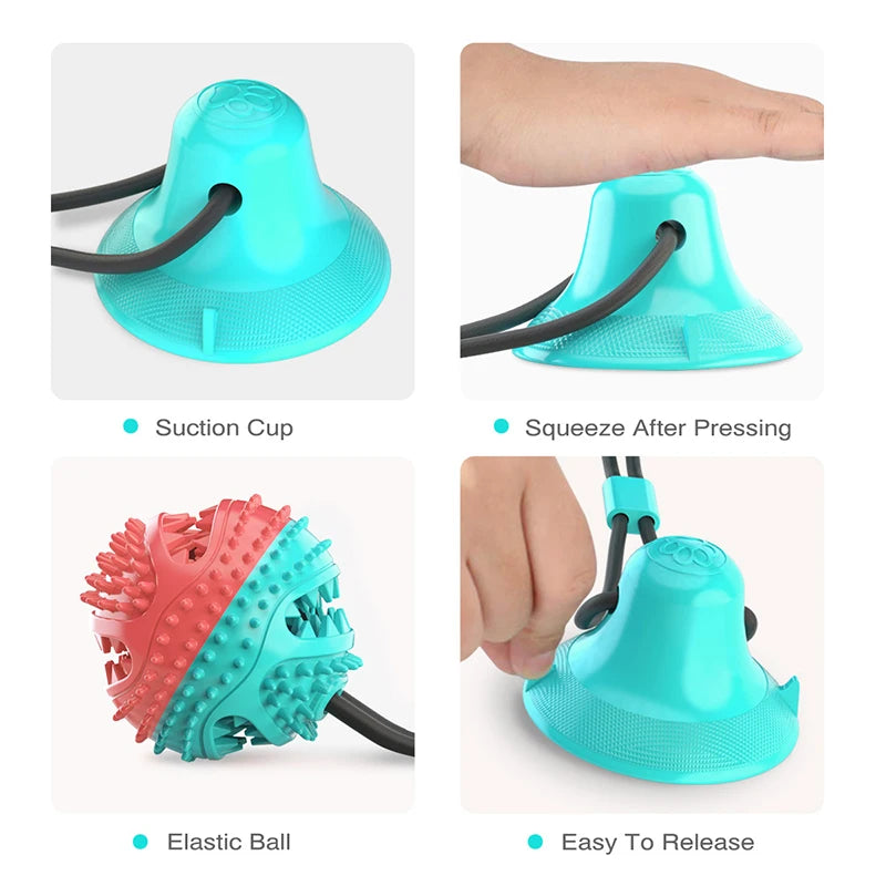 Treat Dispenser Ball Toy with Suction Cup