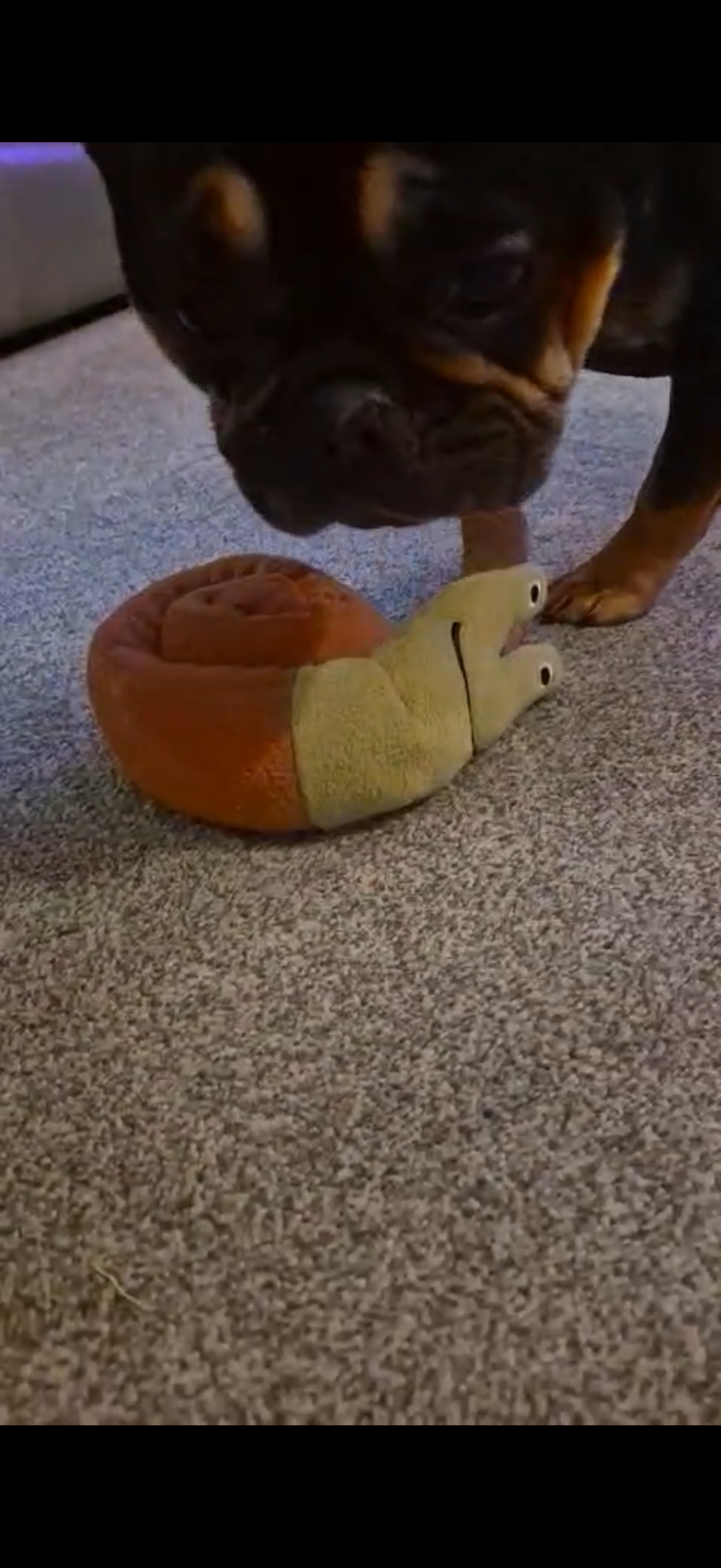 Plush Snuffle Snail Dog Toy
