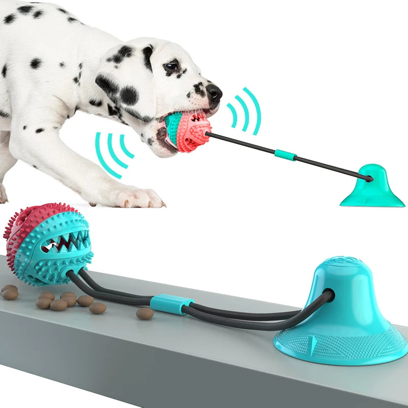 Treat Dispenser Ball Toy with Suction Cup