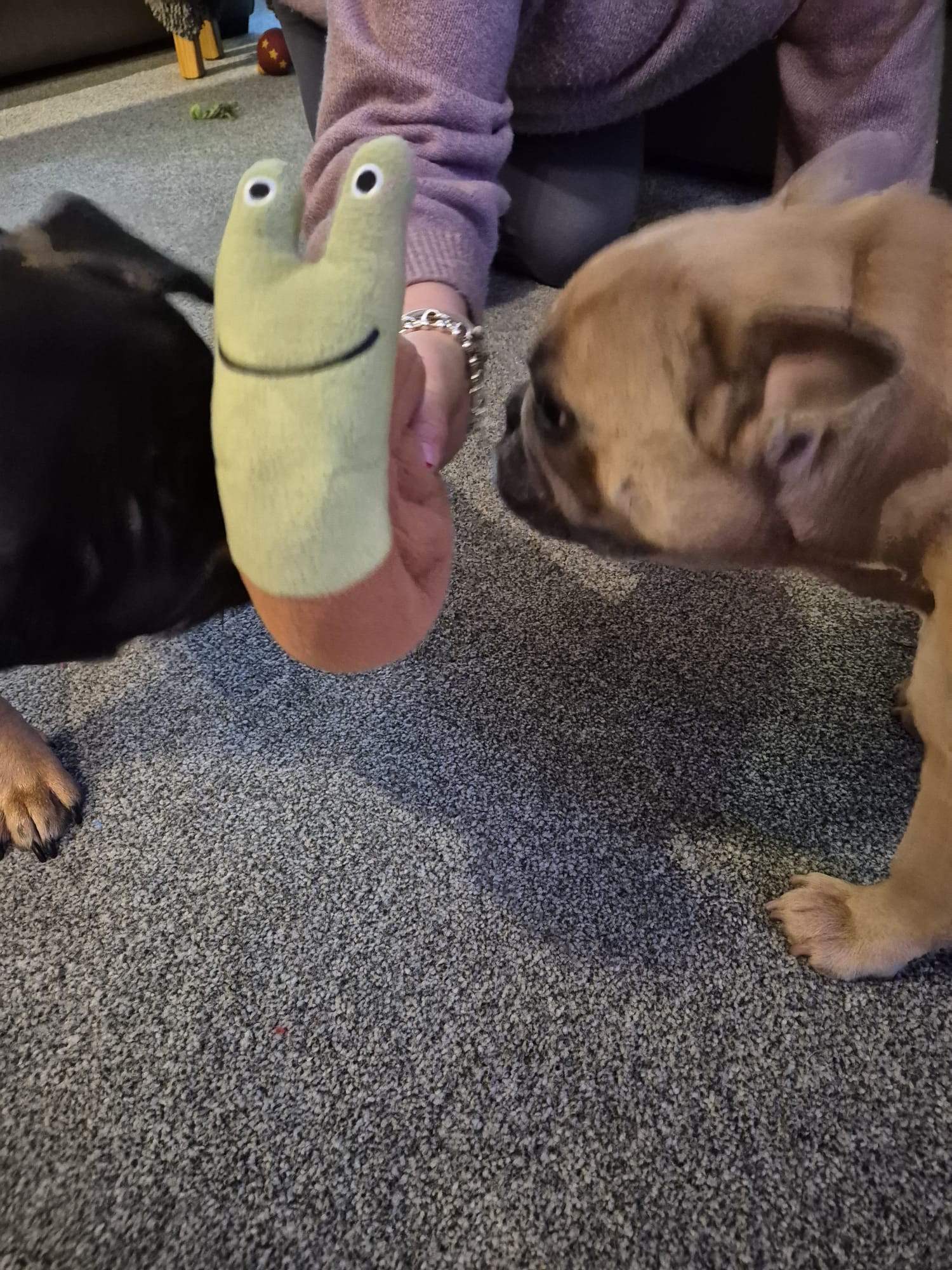 Plush Snuffle Snail Dog Toy